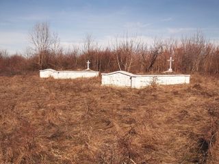 братска могила