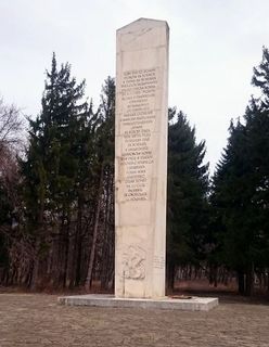 Паметник на победата в Шейновската битка
